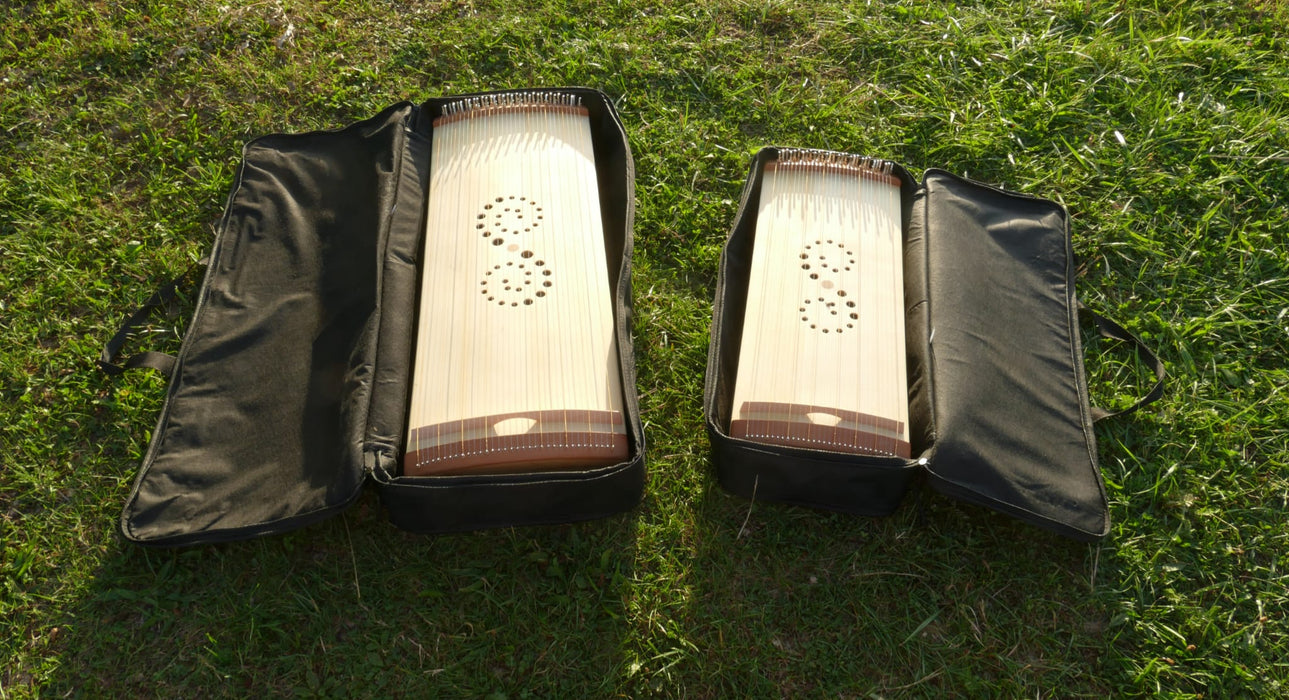 Therapie Monochord klein