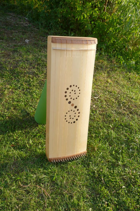 Therapie Monochord klein