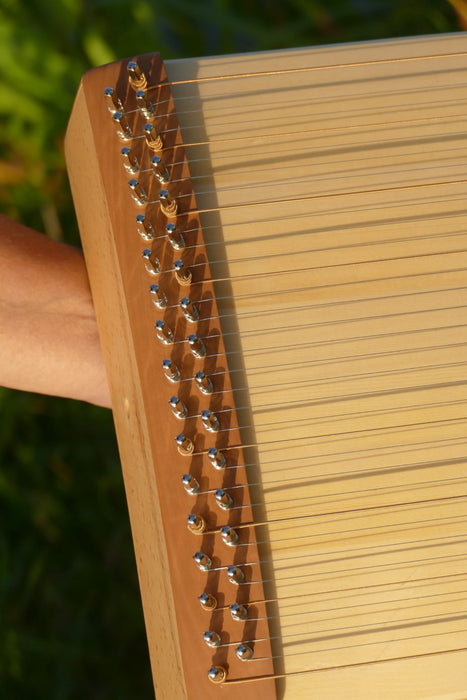 Therapie Monochord klein